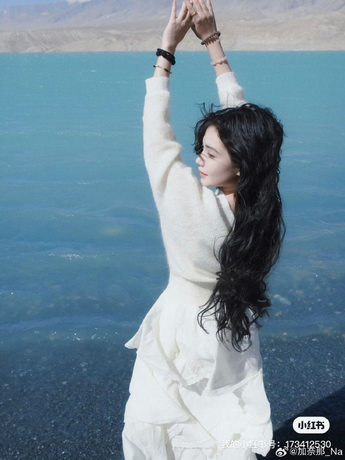 西西gogo常见问题帮助中心